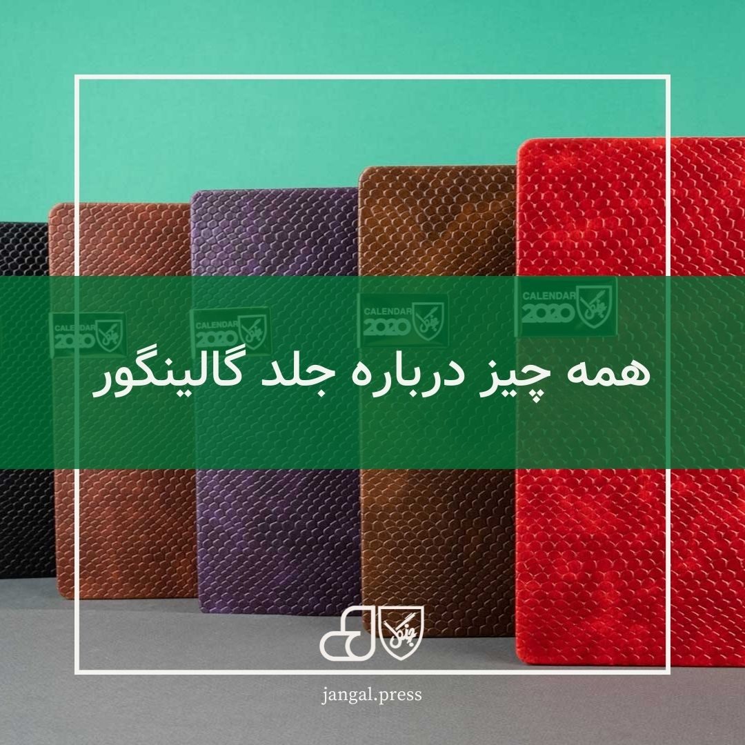 همه چیز درباره جلد گالینگور، معرفی جلدی با بیش از 150 سال قدمت
